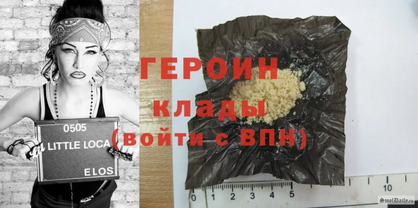 гашик Алексин