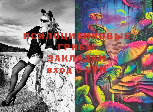 гашик Алексин